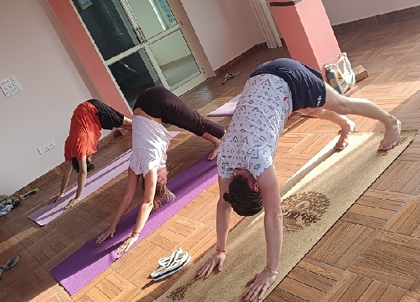 Rishikul Yogshala